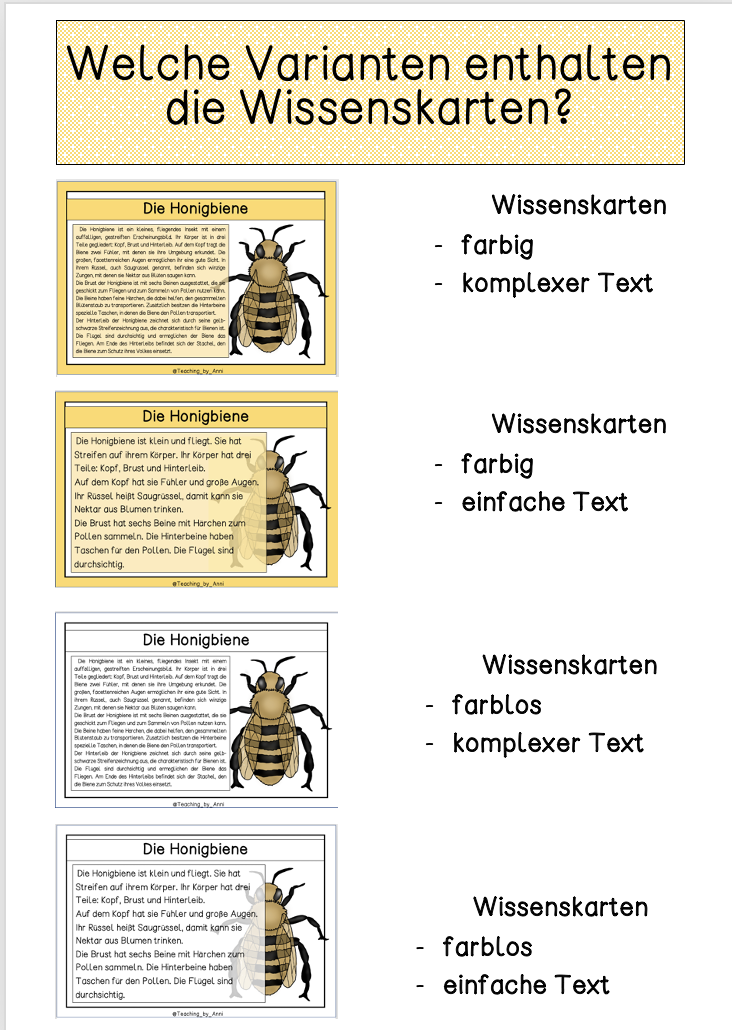 0097189d-ef9f-445c-8408-935c6da44969.png