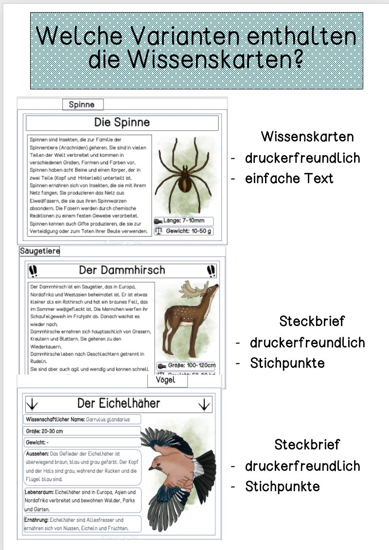 ab01353d-9a0d-4216-bedd-90451d305d86.png