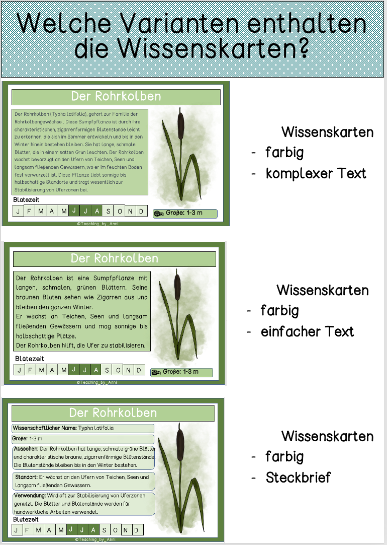 b4199bb3-03de-4cd2-8621-d8595897c765.png
