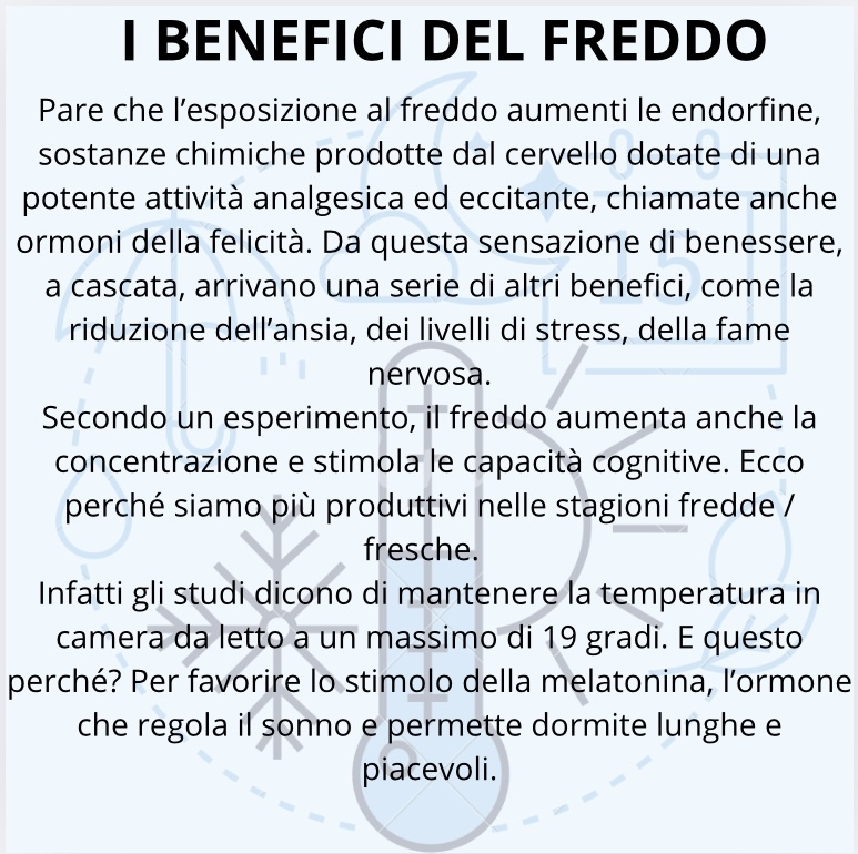 7de95068-1d43-49ea-beeb-e7d6d6107438.jpeg