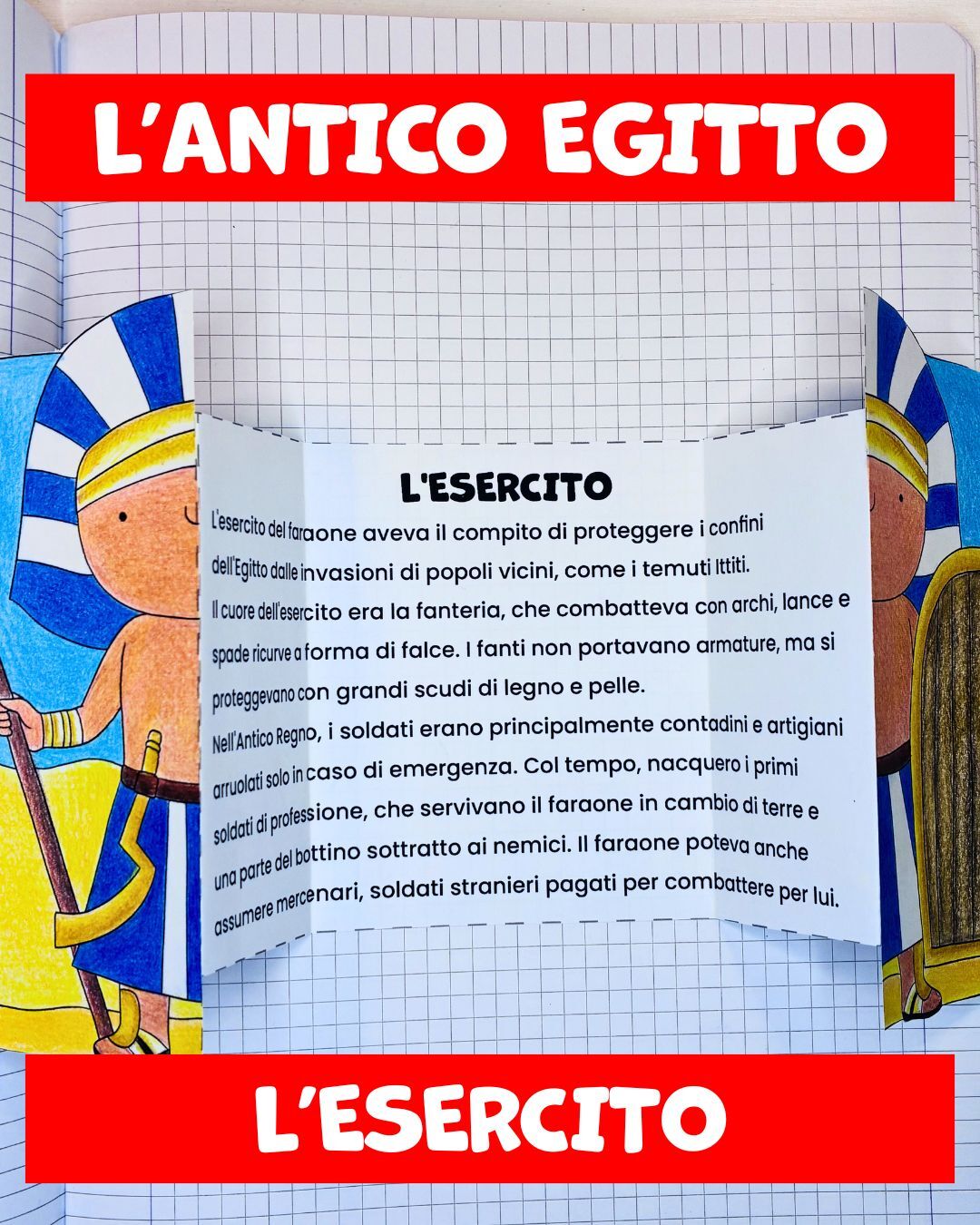 f51efb2d-5e6a-4088-a724-b14d958f1616.jpg
